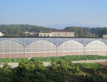 薄膜溫室大棚如何去濕？