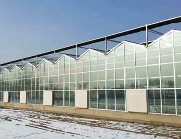 玻璃溫室和塑料大棚哪個保溫好？